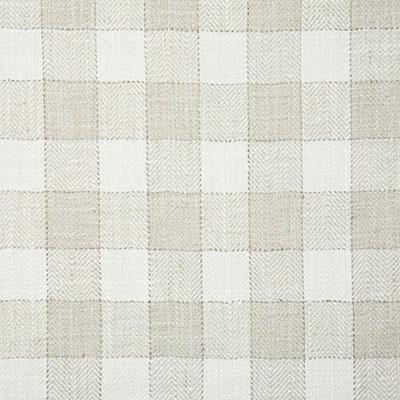 Pindler WILDE PUMICE Fabric
