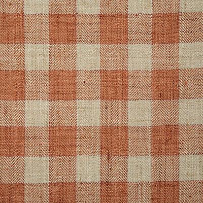 Pindler WILDE SPICE Fabric