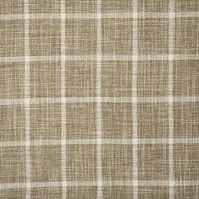 Pindler DUMAS PEBBLE Fabric