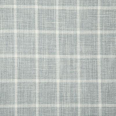 Pindler DUMAS SPA Fabric