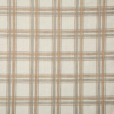 Pindler VERNE SPICE Fabric