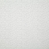 Pindler LILLIANA SNOW Fabric