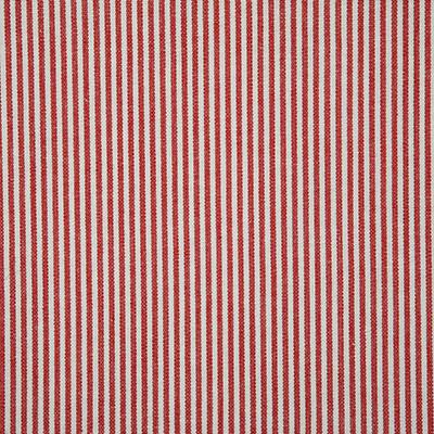 Pindler SAVANNAH BARN Fabric