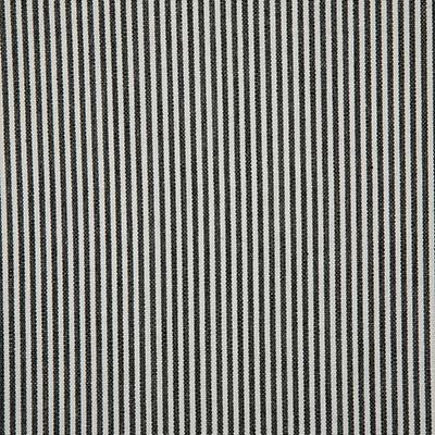 Pindler SAVANNAH DOMINO Fabric