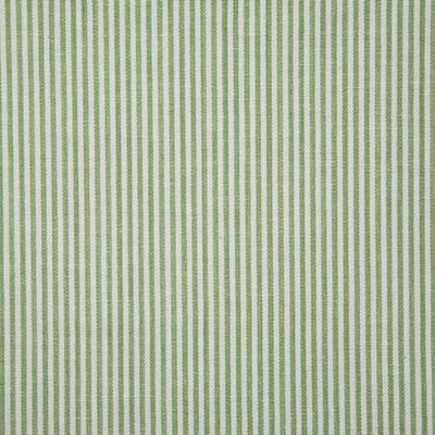 Pindler SAVANNAH KIWI Fabric
