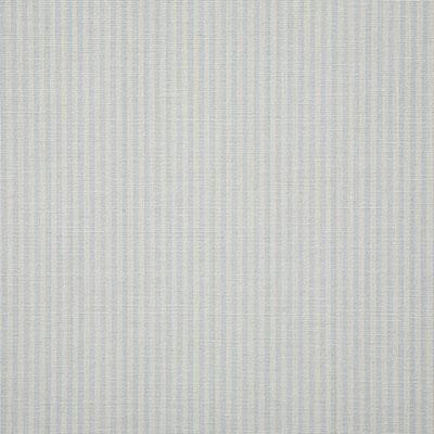 Pindler SAVANNAH MIST Fabric