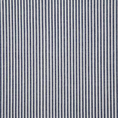 Pindler SAVANNAH ROYAL Fabric