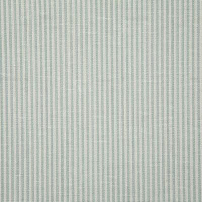 Pindler SAVANNAH SEAGLASS Fabric