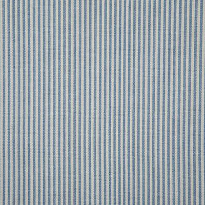 Pindler SAVANNAH SKY Fabric