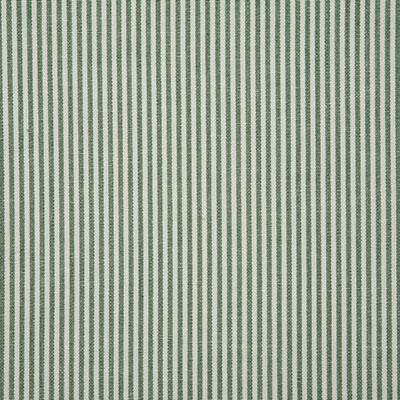 Pindler SAVANNAH SPRING Fabric