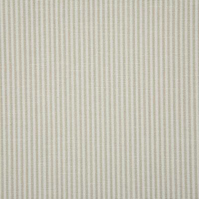Pindler SAVANNAH STONE Fabric