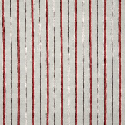 Pindler TEAGAN BARN Fabric