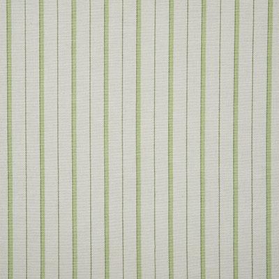 Pindler TEAGAN CITRUS Fabric