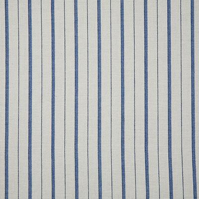 Pindler TEAGAN COBALT Fabric