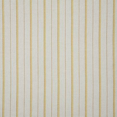 Pindler TEAGAN DAFFODIL Fabric