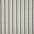 Pindler TEAGAN DOMINO Fabric