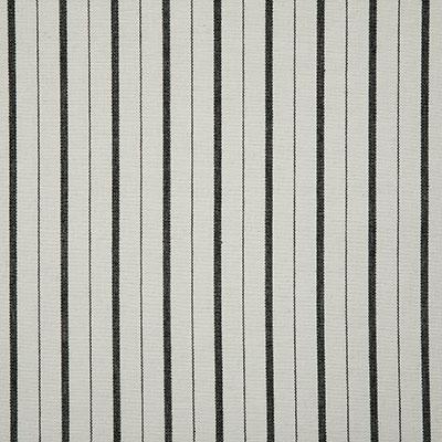 Pindler TEAGAN DOMINO Fabric