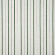 Pindler TEAGAN GRASS Fabric