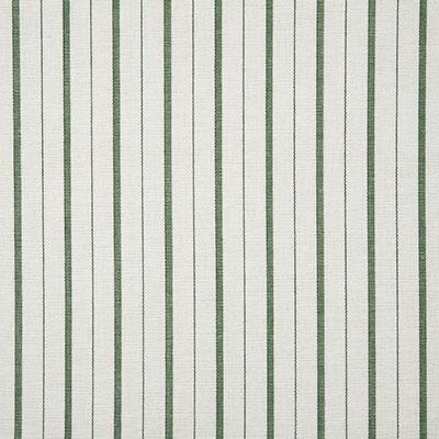 Pindler TEAGAN GRASS Fabric