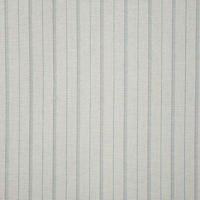 Pindler TEAGAN MIST Fabric