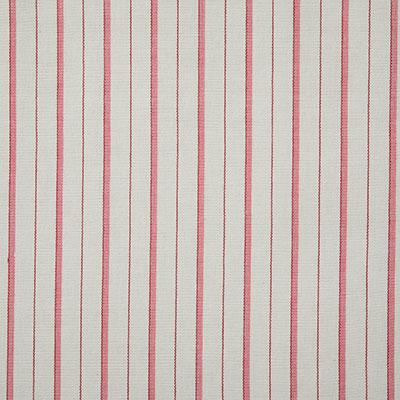 Pindler TEAGAN PEONY Fabric