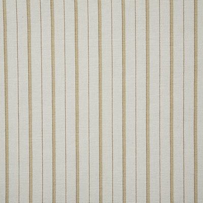 Pindler TEAGAN SAND Fabric