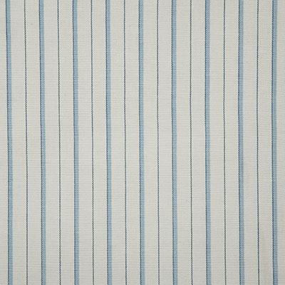 Pindler TEAGAN SKY Fabric