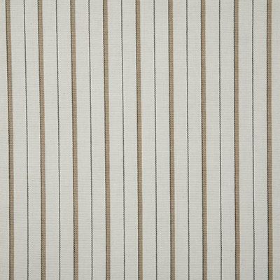 Pindler TEAGAN TAUPE Fabric