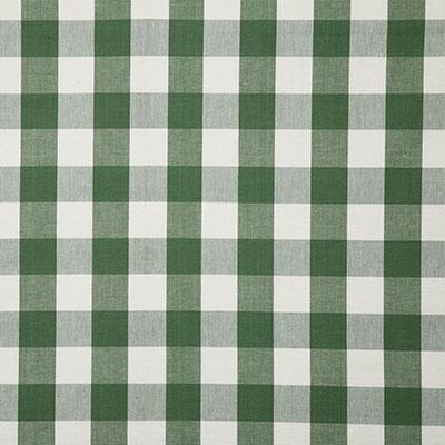 Pindler SAWYER SPRING Fabric