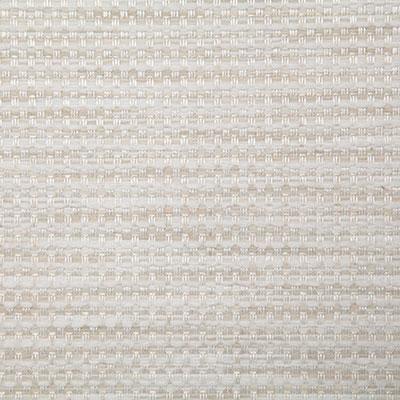 Pindler DAVIES MARBLE Fabric