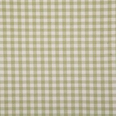 Pindler CHANDLER LEAF Fabric