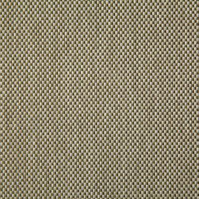 Pindler RIVERDALE LEAF Fabric