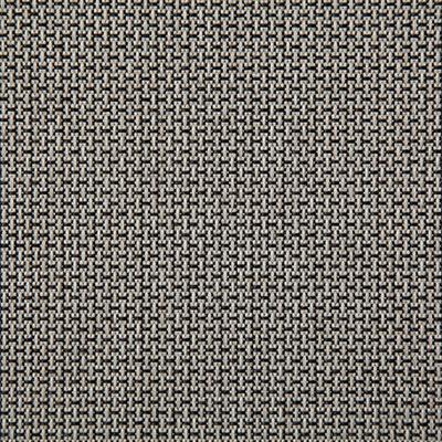 Pindler WATERSIDE BLACK Fabric