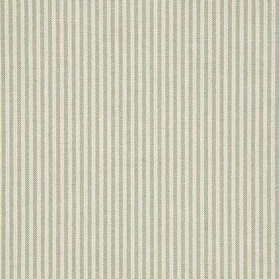 Pindler BENTLEY SPROUT Fabric