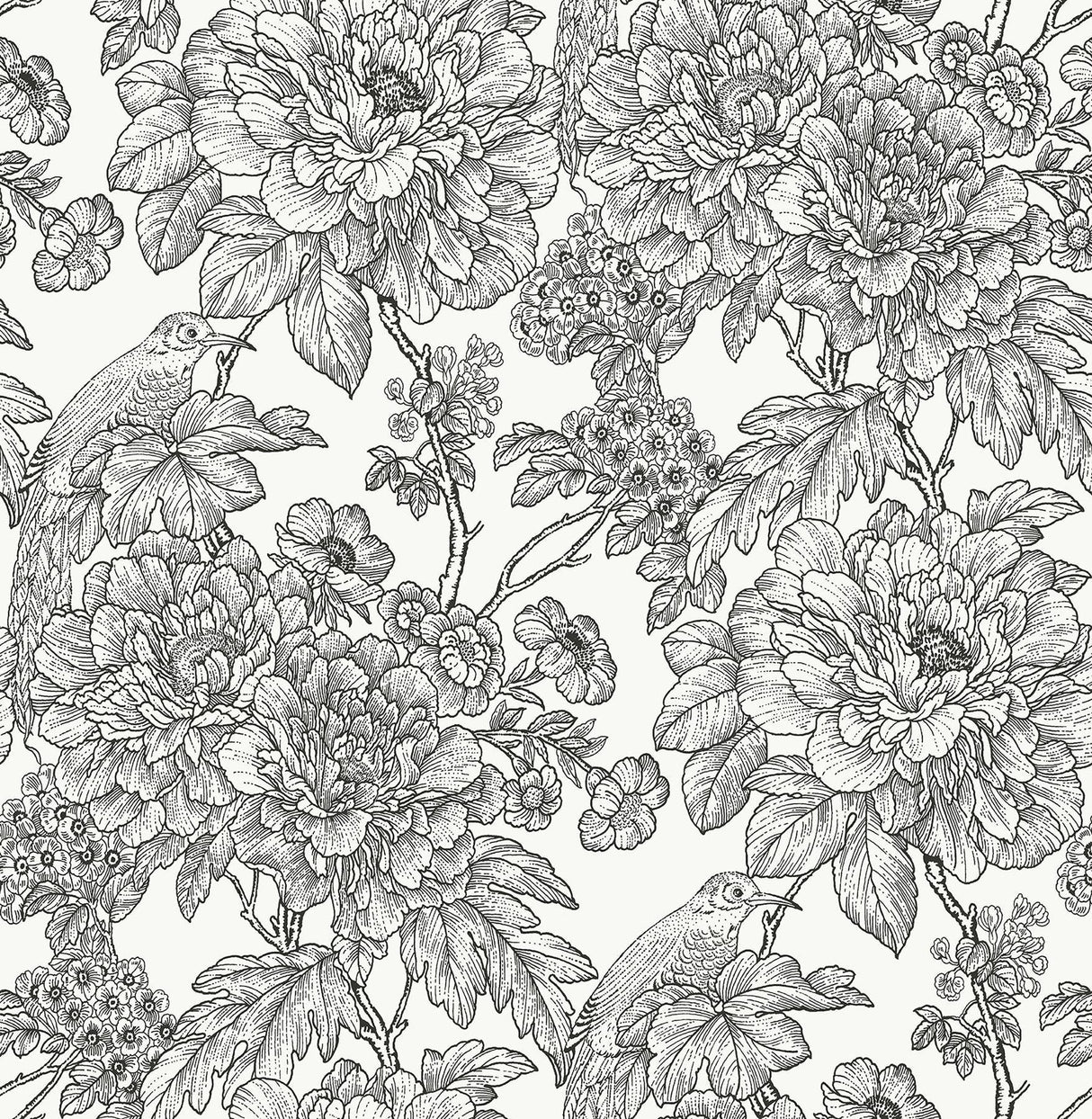 Brewster Home Fashions Black & White Sudbury Peel & Stick Wallpaper