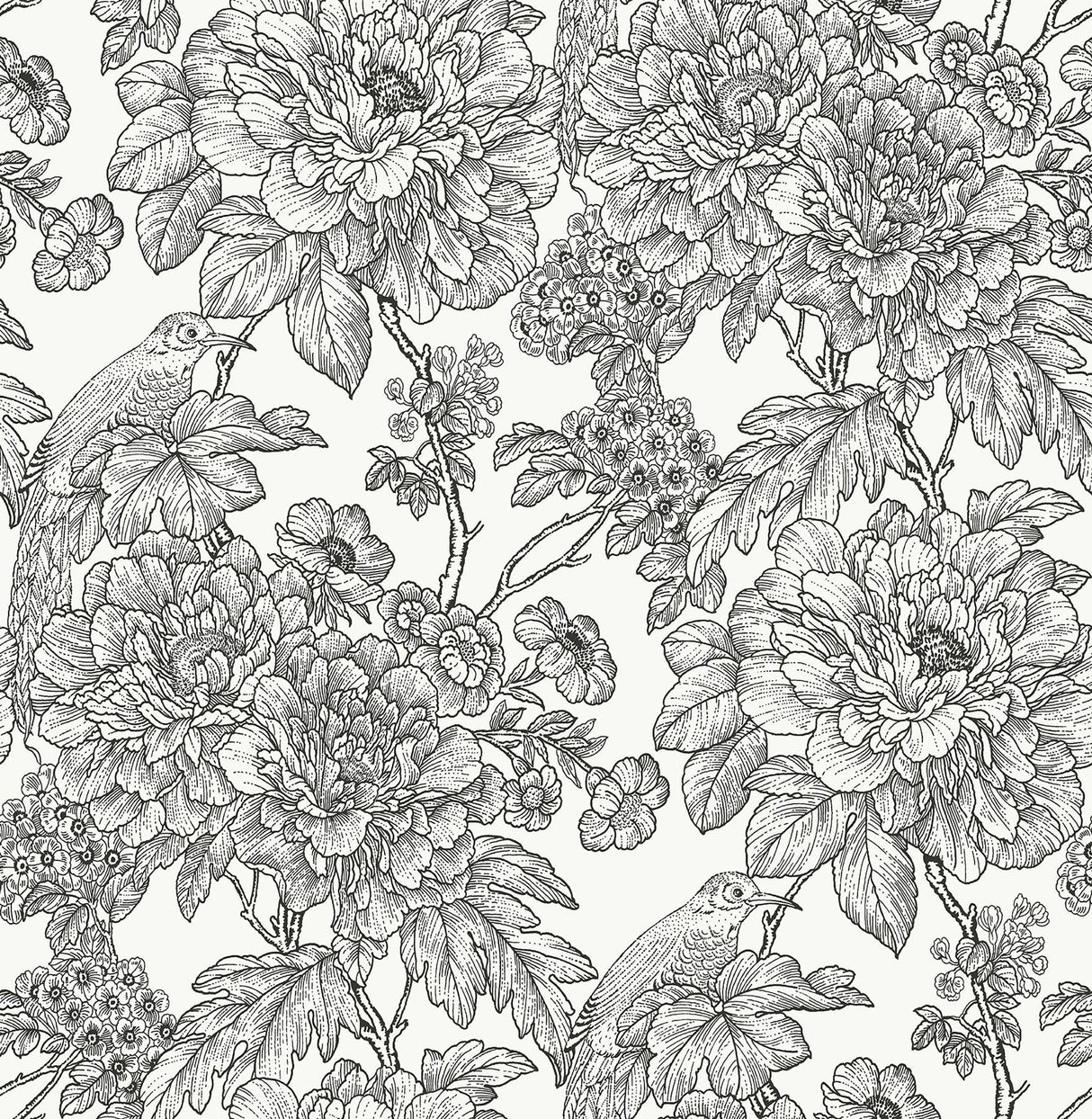 Brewster Home Fashions Sudbury Peel & Stick Black & White Wallpaper
