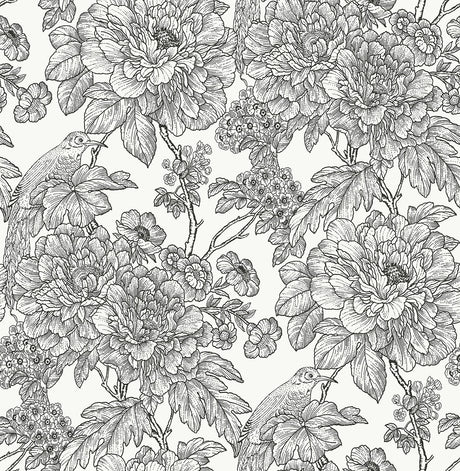 Brewster Home Fashions Sudbury Peel & Stick Black & White Wallpaper
