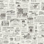 Brewster Home Fashions Charcoal Published Peel & Stick Wallpaper