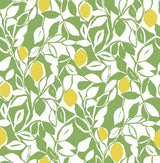 Brewster Home Fashions Green Meyer Peel & Stick Wallpaper