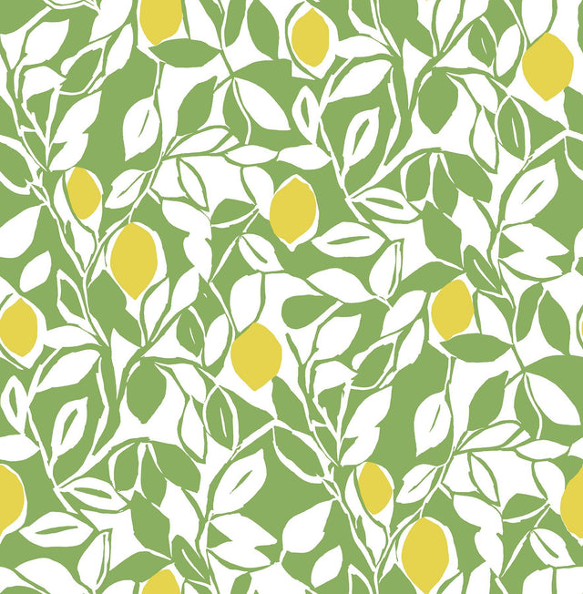 Brewster Home Fashions Green Meyer Peel & Stick Wallpaper