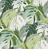 Brewster Home Fashions Green Adansonii Peel & Stick Wallpaper