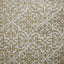 Kasmir Benisa Champagne Fabric