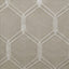 Kasmir Burbank Latte Fabric