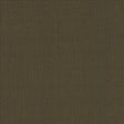 Kasmir Casual Chic Coffee Fabric