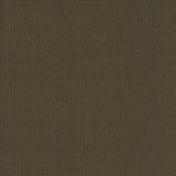 Kasmir Casual Chic Coffee Fabric