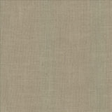 Kasmir Casual Chic Flax Fabric