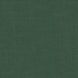 Kasmir Casual Chic Kelly Green Fabric