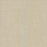 Kasmir Casual Chic Latte Fabric