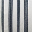 Kasmir Cresson Denim Fabric