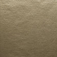 Kasmir Dolton Tussah Fabric